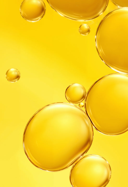 Vitamine E : l’antioxydant discret mais puissant