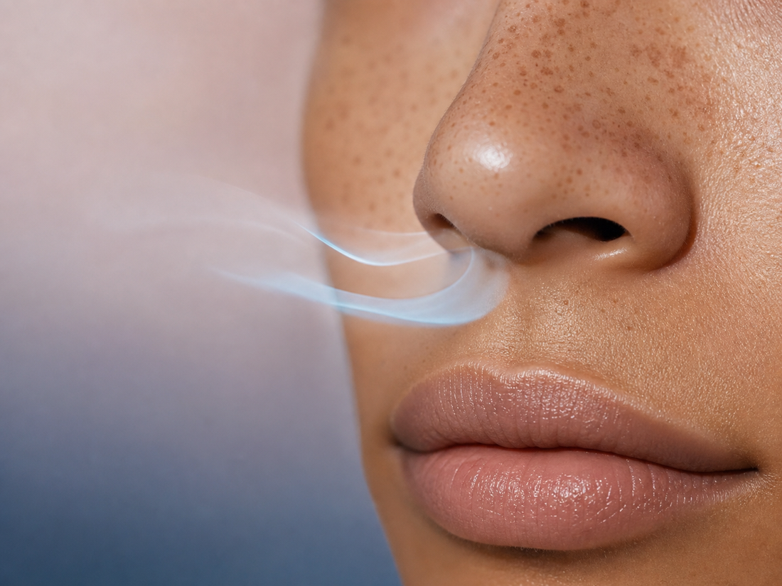Gros plan éditorial d’un nez respirant doucement, illustration de la respiration nasale nocturne